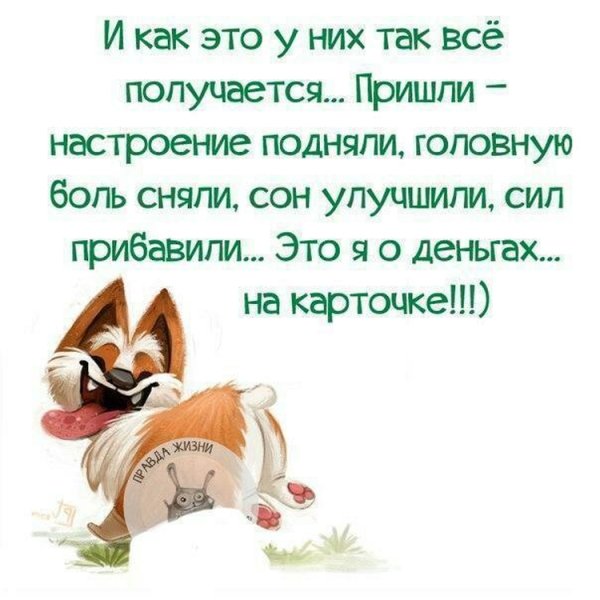 Позитивные статусы для поднятия настроения в картинках