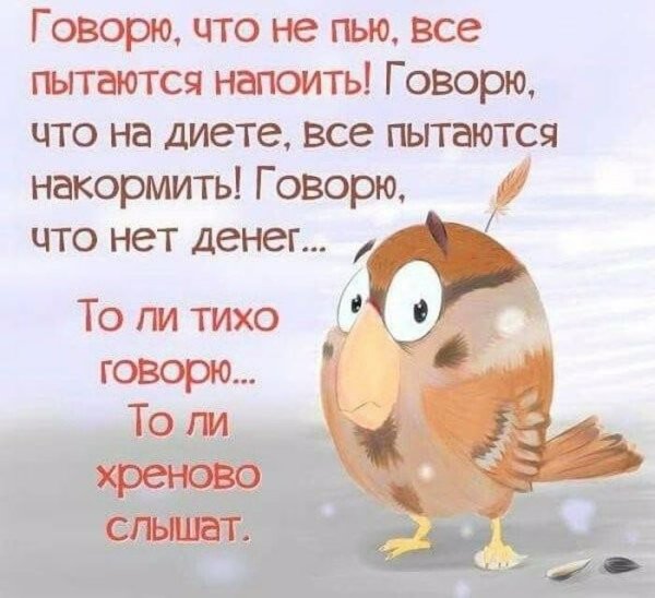 Смешные позитивные цитаты