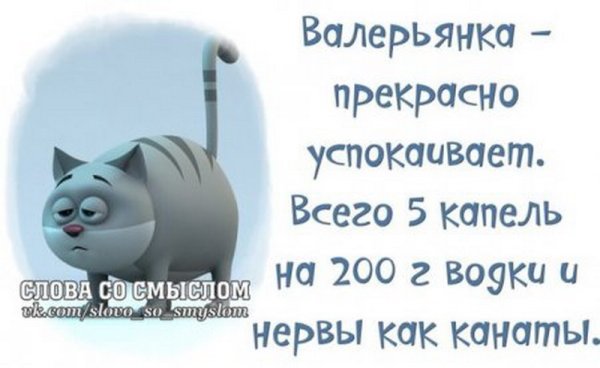 Прикольные высказывания для поднятия настроения