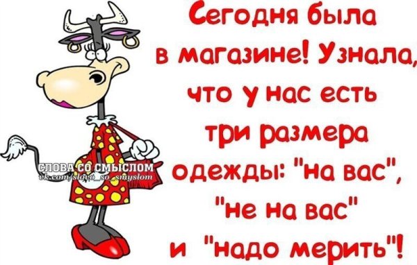 Весёлые фразы для поднятия настроения