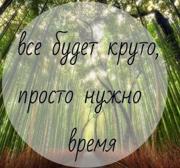 Открытки поднимающие настроение мужчине