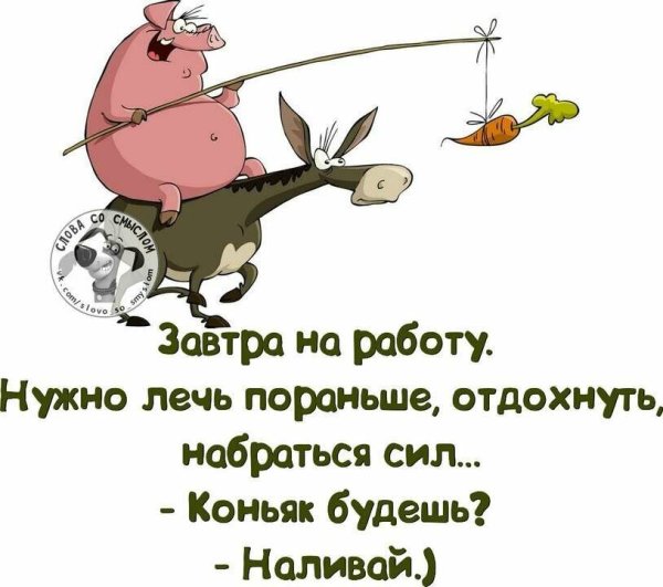 Смешные открытки для поднятия настроения
