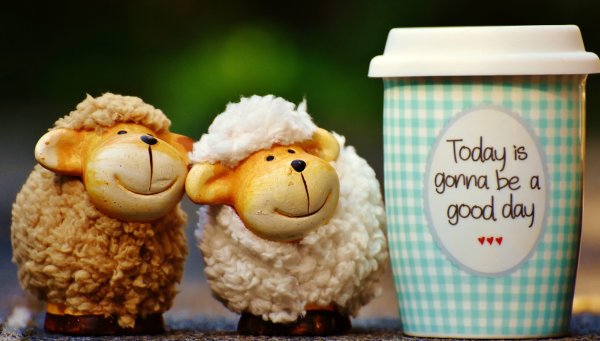 Утреннее настроение позитивные