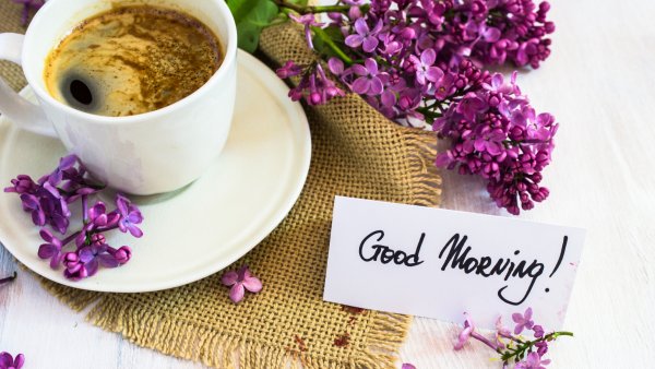 Заставки на рабочий стол кофе и цветы