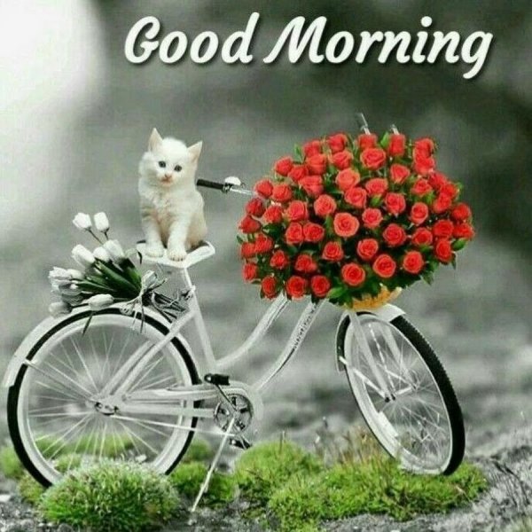 Стильные открытки хорошего дня и отличного настроения