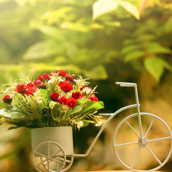 С днём рождения природа