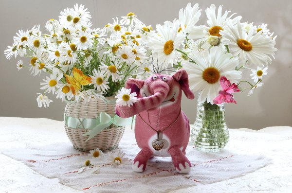 Доброе утро ромашки