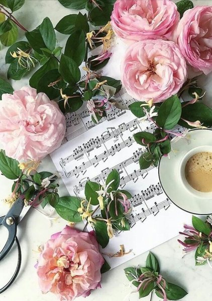 Стильные пожелания доброго утра