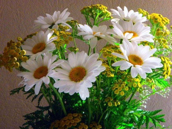 Прекрасного дня и настроения