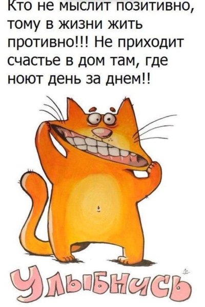 Смешные цитаты