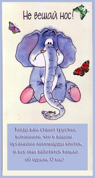 Не вешать нос открытки