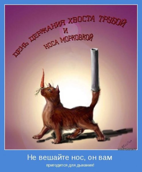 Хвост пистолетом