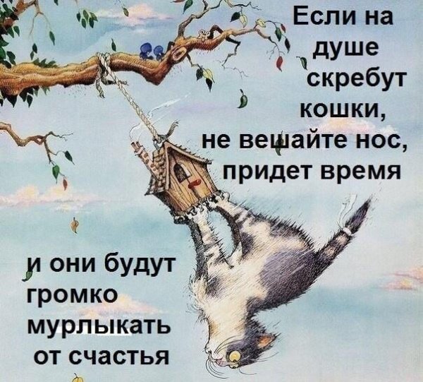 Позитивчик для поднятия настроения