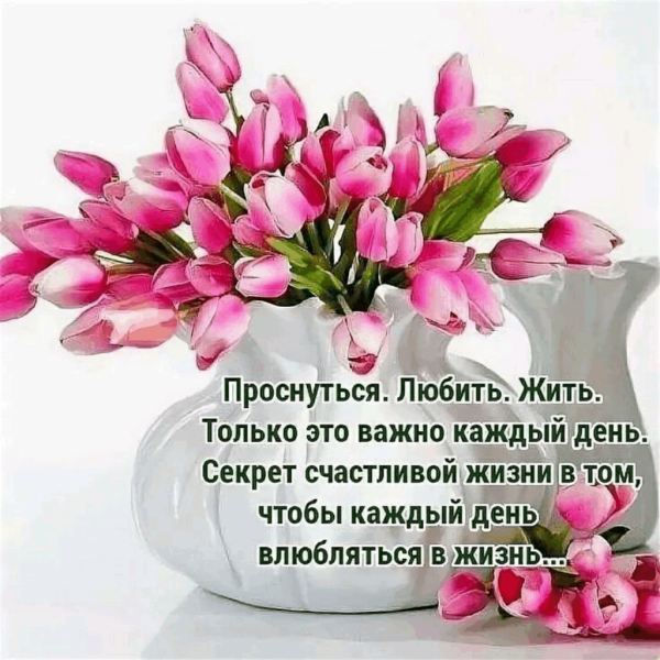 Пожелания хорошего дня и здоровья