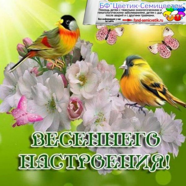 Хорошего весеннего настроения