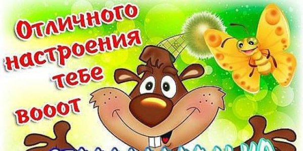 Прекрасного настроения прикольные
