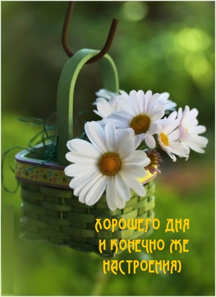 Цветочек счастья