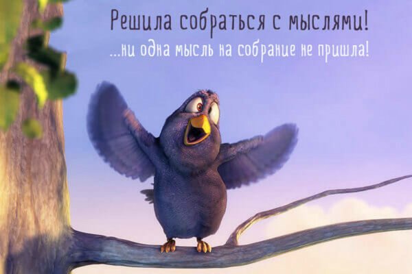 Решила собраться с мыслями ни одна мысль на собрание
