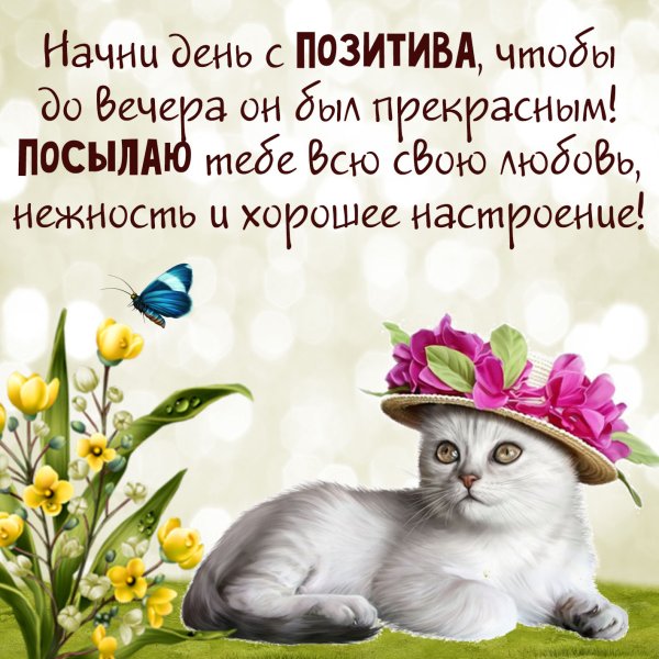 Позитивные пожелания