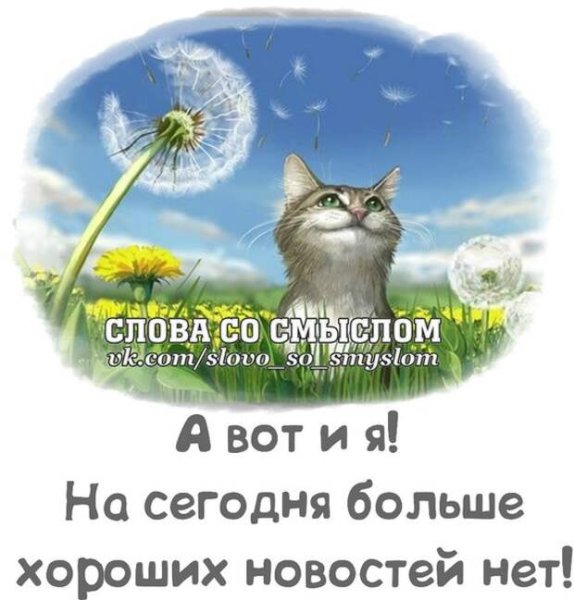 Смешные открытки для поднятия настроения