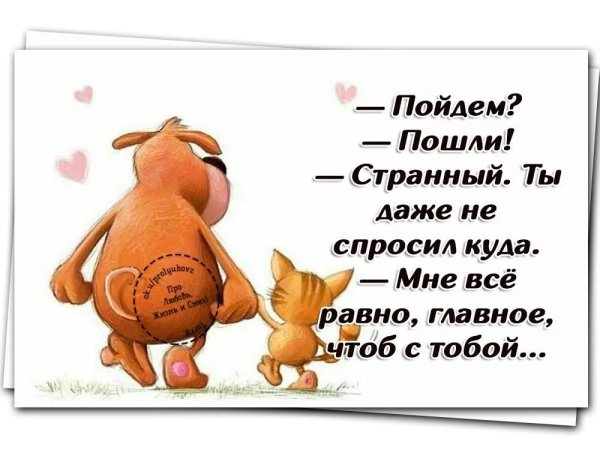 Позитивные афоризмы в картинках