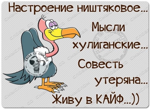 Настроение хорошее мысли хулиганские