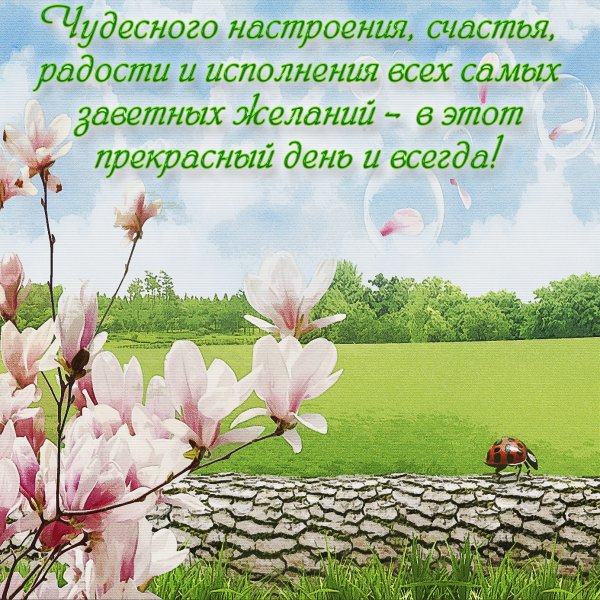 Открытки чудесного настроения