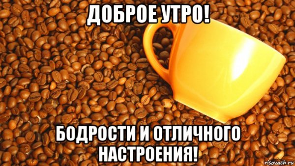 Доброе утро Димочка