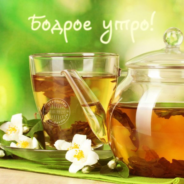 Бодрое утро