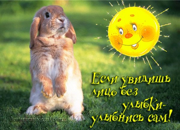 Позитивные открытки для поднятия настроения