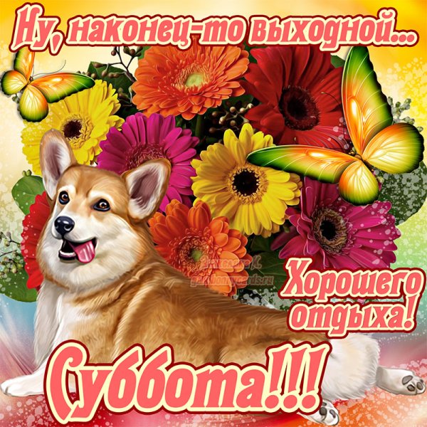 Поздравление с субботой