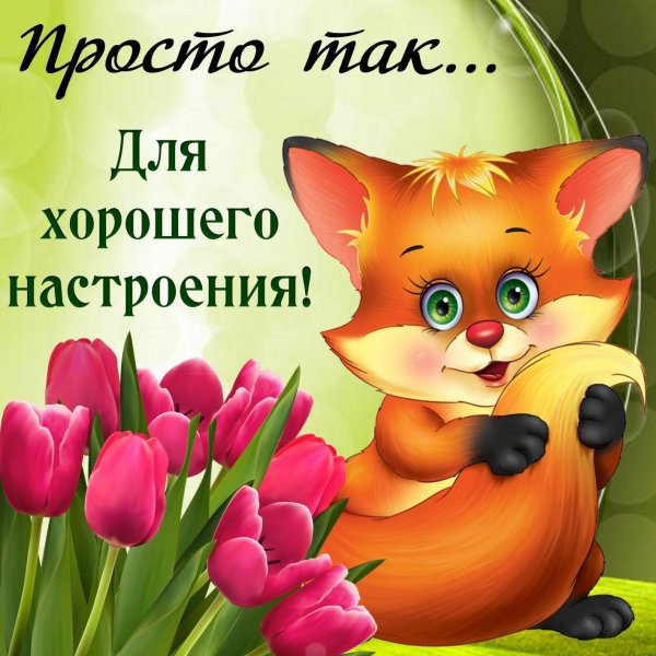 Смешные открытки для поднятия настроения