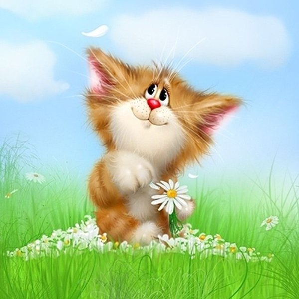 Приятная открытка для девушки