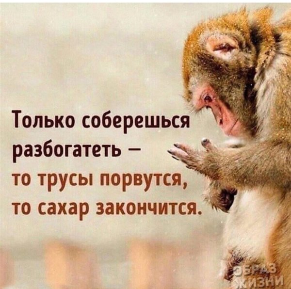 Открытки прикольные для поднятия настроения