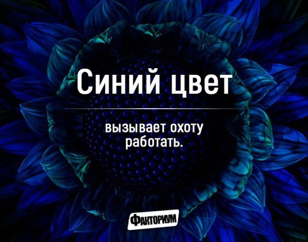 Цвет настроения синий