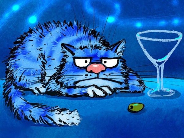 Коты Ирины Зенюк 2020