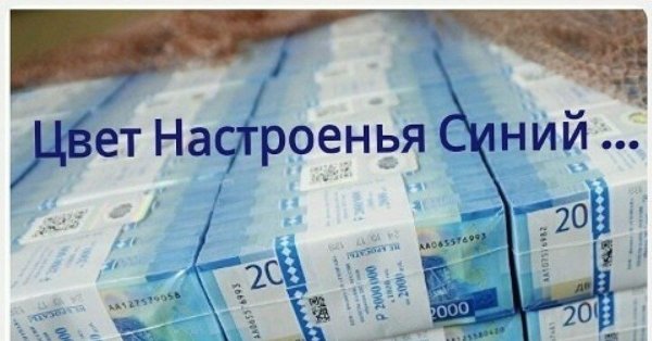 Васильки в руках