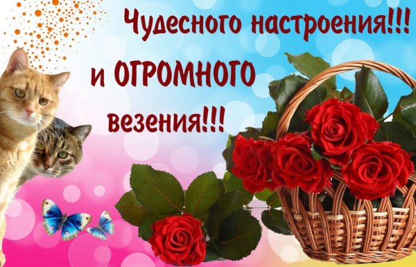 Открытки с пожеланием отличного дня
