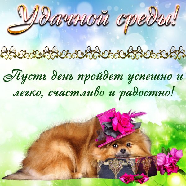 Поздравления с днём среды