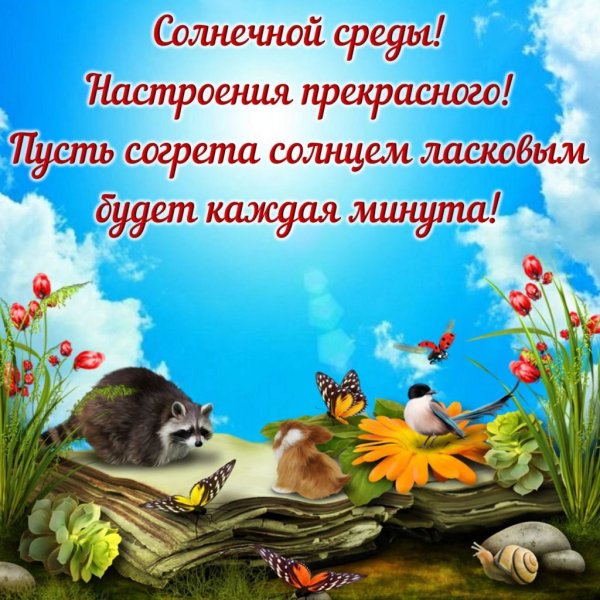 Открытки со средой