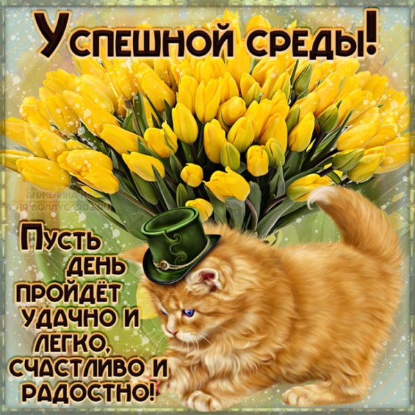 Открытки с добрым утром среды
