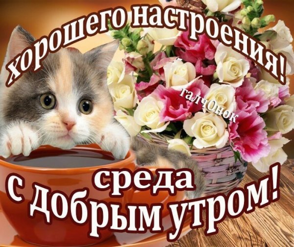 Открытки с добрым утром среды