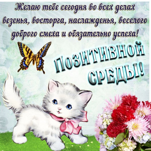 Открытки поздравления со средой