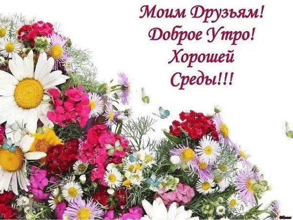Поздравление со средой и добрым утром