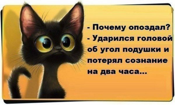 Позитивные цитаты