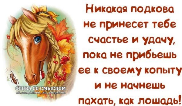 Позитивные афоризмы в картинках