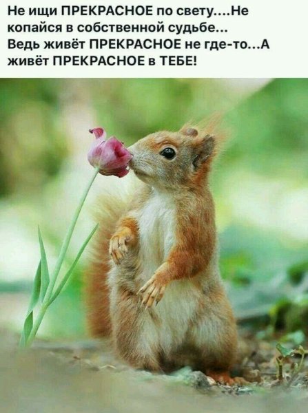 Позитивные цитаты