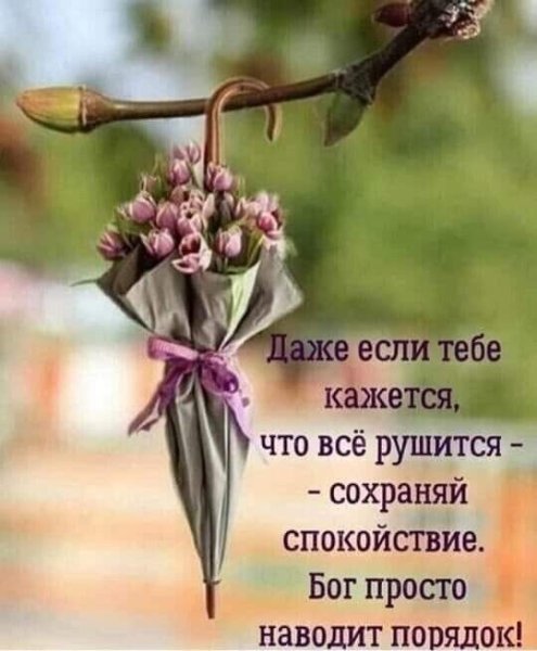 Цитаты про хороший день