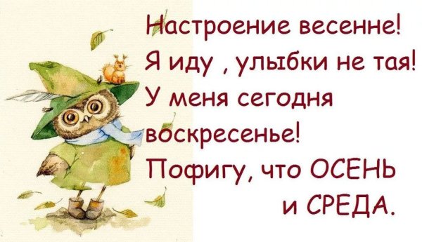Новый день цитаты