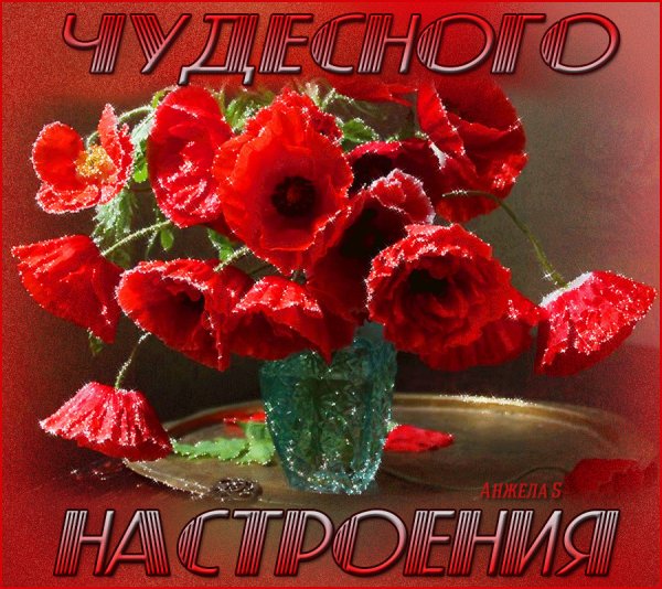 Гифки прекрасного настроения